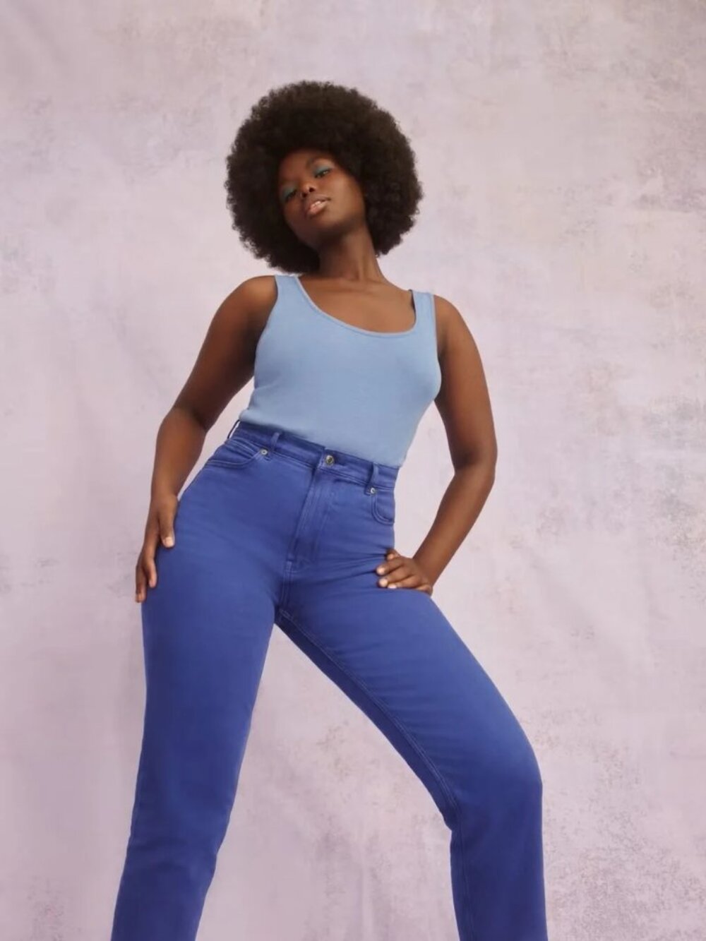 Everlane The Way-High Jean (27.5" Regular) - Deep Lapis Size 29